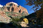 The East Temple from Pine Creek in autumn, Zion National Park, Utah, United States of America (U.S.A.), North America