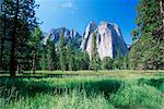 Blick über Wiesen auf den Cathedral Rocks, Yosemite National Park, UNESCO Weltkulturerbe, California, Vereinigte Staaten von Amerika, Nordamerika