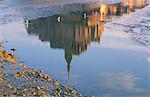 Reflection in water in the early morning of Mont St. Michel, UNESCO World Heritage Site, Manche, Normandy, France, Europe