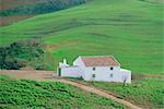 White house in verdant landscape, near Antequera, Malaga, Andalucia (Andalusia), Spain, Europe