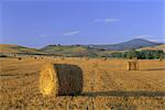 Bales of hay at sunrise, near San Quirico d'Orcia, Tuscany, Italy, Europe