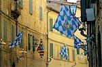 Flags of the Onda (Wave) contrada in the Via Giovanni Dupre, Siena, Tuscany, Italy, Europe