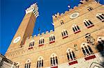 The Torre del Mangia and Palazzo Pubblico on Palio day, UNESCO World Heritage Site, Siena, Tuscany, Italy, Europe