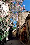 Fleur rempli village rue, St-Guilhem-le-désert, Hérault, Languedoc-Roussillon, France, Europe