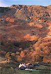 Bauernhof und Lingmoor fielen bei Sonnenaufgang, Great Langdale, Lake District-Nationalpark, Cumbria, England, Vereinigtes Königreich (Großbritannien), Europa