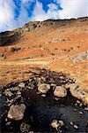 Far Easedale Gill, Easedale, above Grasmere, Lake District National Park, Cumbria, England, United Kingdom (U.K.), Europe