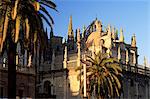 Die Kathedrale und Palmen bei Sonnenuntergang, Sevilla, Andalusien (Andalusien), Spanien, Europa
