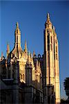 Golden spires of King's College at sunrise, Cambridge, Cambridgeshire, England, United Kingdom, Europe