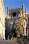 Vue sur la cathédrale de la Plaza del Triunfo, Séville, Andalousie (Andalucia), Espagne, Europe