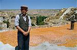 Vieil homme avec abricots, petit village au sud d'Urgup, Cemil, Cappadoce, Anatolie, Turquie, Asie mineure, Eurasie