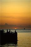 Sunset, Zanzibar, Tanzania, East Africa, Africa