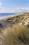 Northern beach, Chatham Islands, Pacific islands, Pacific