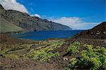 Punta de Teno, Teneriffa, Kanarische Inseln, Spanien, Europa