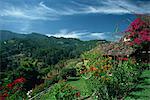 Paysage de collines à Chichicastenango, au Guatemala, Amérique centrale