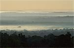 Dawn over rain forest of Biosphere Reserve, Peten, Guatemala, Central America