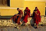 Buddhist monks swotting for exams, Shwesandaw, Pyay (Prome), Myanmar (Burma), Asia