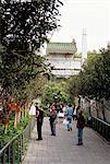 Yuen Po Street Bird Garden, Mong Kok, Kowloon, Hong Kong, China, Asia