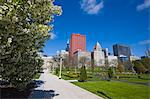 Fleur de printemps à Grant Park, Chicago, Illinois, États-Unis d'Amérique, l'Amérique du Nord