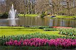 Keukenhof, park and gardens near Amsterdam, Netherlands, Europe