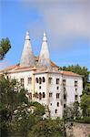 Sintra National Palace, formerly the Royal or Town Palace, Sintra, UNESCO World Heritage Site, Portugal, Europe