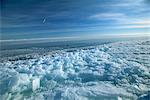 Glace fracturée et nouvellement congelé à bord d'un plomb ouvert, un milieu important pour les phoques et les oiseaux, Spitzberg, Svalbard, Norvège, Arctique, Scandinavie, Europe
