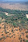 Trees mark a dry riverbed or Lugga which may only flow with water for a few days each year, Matthews Range, Kenya, East Africa, Africa