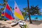 Naviguer les bateaux, Galley Bay, Antigua, Caraibes, Antilles, Amérique centrale