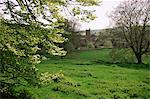 Cerne Abbas, Dorset, Angleterre, Royaume-Uni, Europe