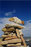 Low angle view of pebbles arranged in a fish shape