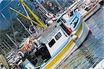 Boats moored at a harbor, Italian Riviera, Santa Margherita Ligure, Genoa, Liguria, Italy