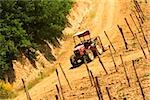 Tracteur dans un vignoble, Province de Sienne, Toscane, Italie