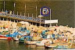 Boats at a harbor, Marina Grande, Capri, Sorrento, Sorrentine Peninsula, Naples Province, Campania, Italy