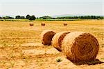 Hay bales in a field, Siena Province, Tuscany, Italy