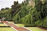 Arbres dans un jardin, Scalinata Delle Caravelle, Gênes, Ligurie, Italie