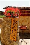 Flowers in a garden, Monteriggioni, Siena Province, Tuscany, Italy