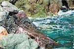 Rock formations in the sea, Italian Riviera, Mar Ligure, Genoa, Liguria, Italy