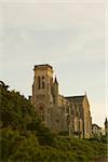 Vue d'angle faible d'une cathédrale, Eglise Sainte Eugénie, Biarritz, France