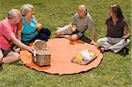 Two senior couples at picnic