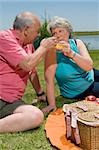 Senior couple holding glasses of juice at picnic