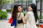 Portrait of two young women carrying shopping bags and smiling