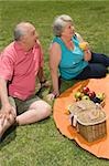 High angle view of a senior couple at a picnic
