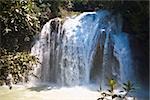 Waterfall in a forest, El Chiflon, Socoltenango, Chiapas, Mexico