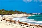 Touristen am Strand, Tulum, Aceña Roo, Mexiko