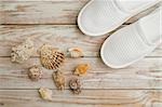Seashells and slippers