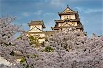 Cherry Tree, le château de Himeji, Himeji, Japon