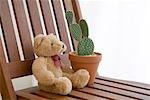 Plante en pot de cactus et peluche sur chaise