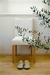 Chaise et plante d'Olive
