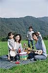 Family having picnic