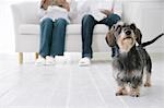 Young couple and Dachshund