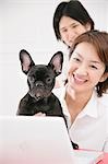 Young couple and French Bulldog